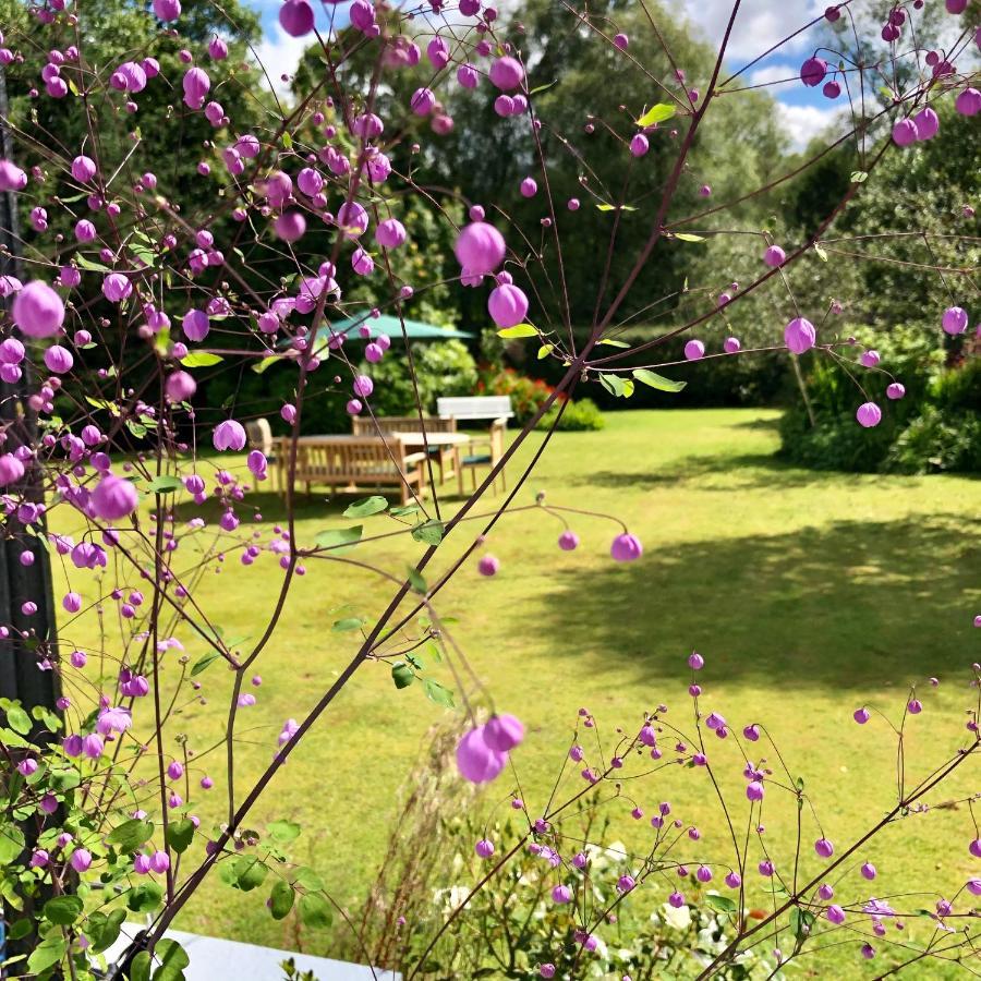 Distant Hills Guest House سبين بريدج المظهر الخارجي الصورة